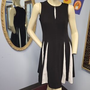 Pleated Skater Dress Just... Taylor size 4